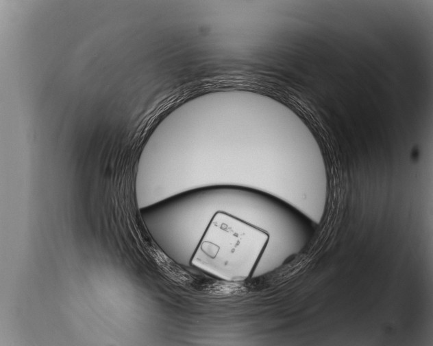 X0000116110333200911231001