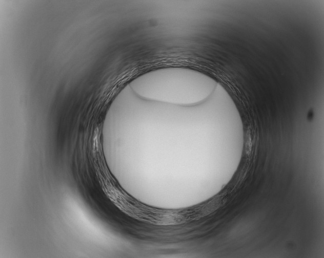X0000116110334200911231001