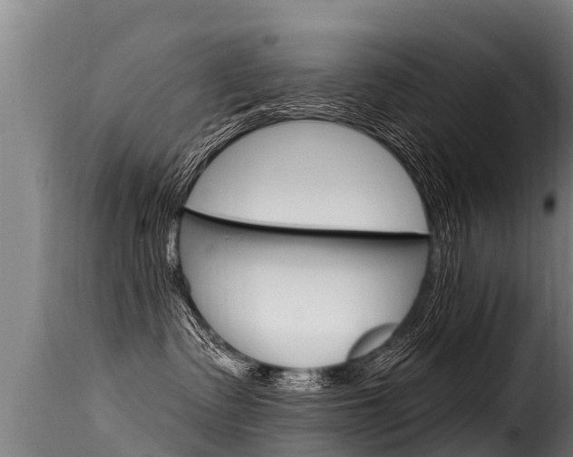 X0000116110335200911231001
