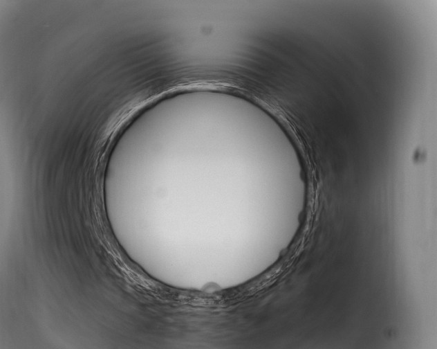 X0000116110337200911231000