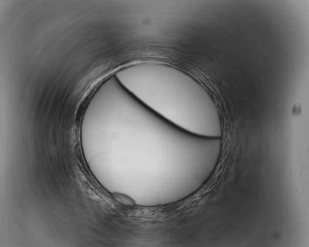 X0000116110338200911231000