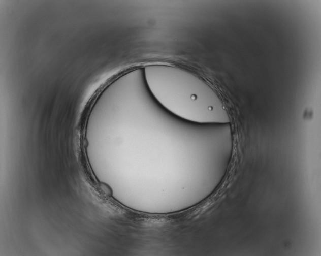 X0000116110342200911231000