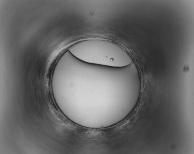 X0000116110343200911231000