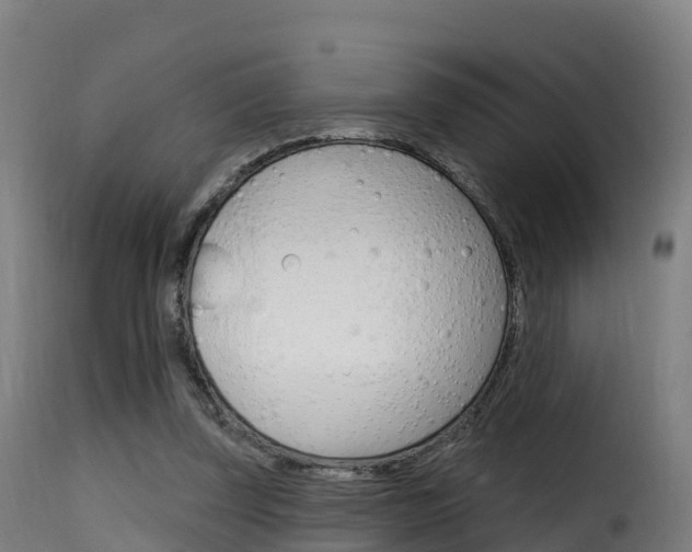 X0000116110347200911231000