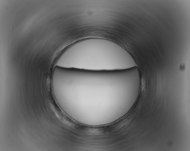 X0000116110349200911231000