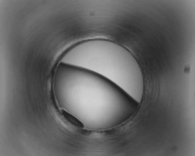X0000116110350200911231000