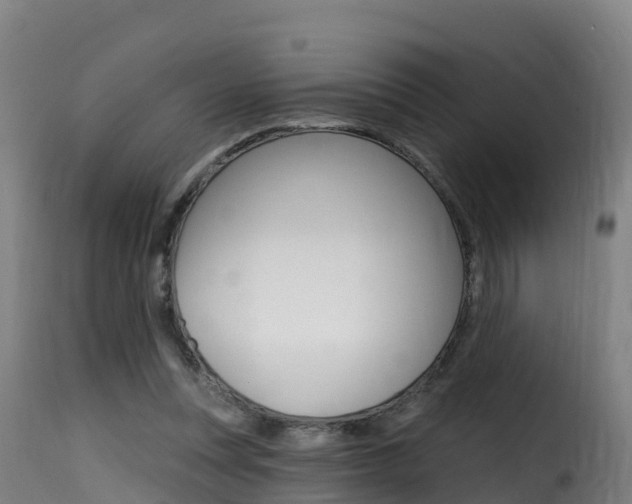 X0000116110351200911231000
