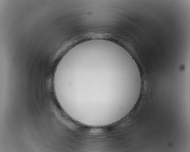 X0000116110357200911231000