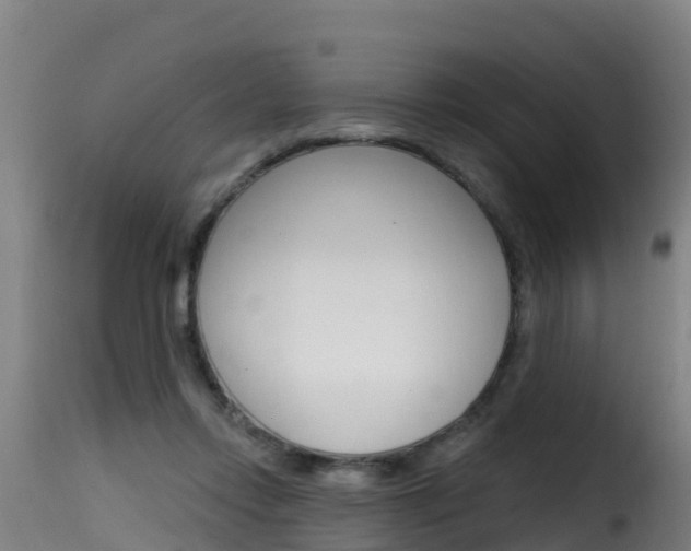 X0000116110358200911231000