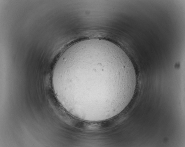 X0000116110359200911231000