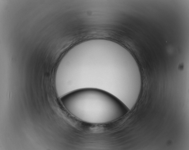X0000116110362200911231000