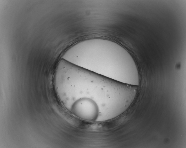 X0000116110366200911231000