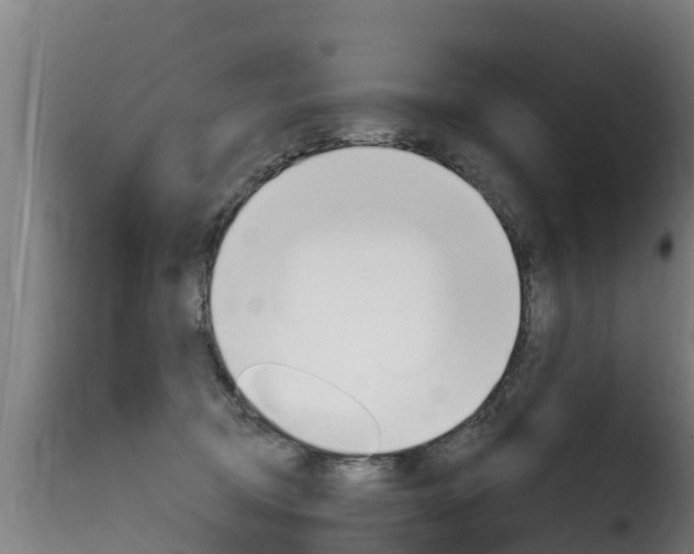 X0000116110370200911231000