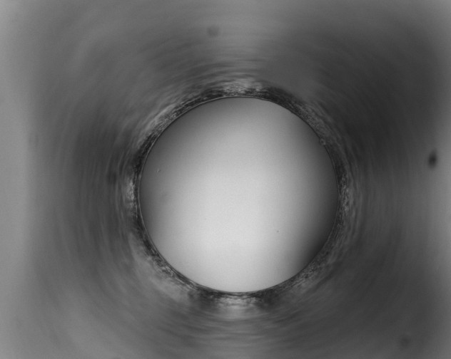 X0000116110375200911231000