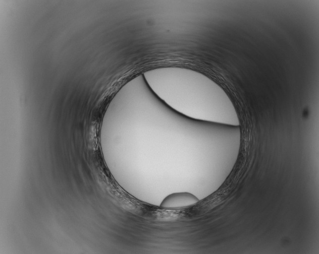X0000116110378200911231000