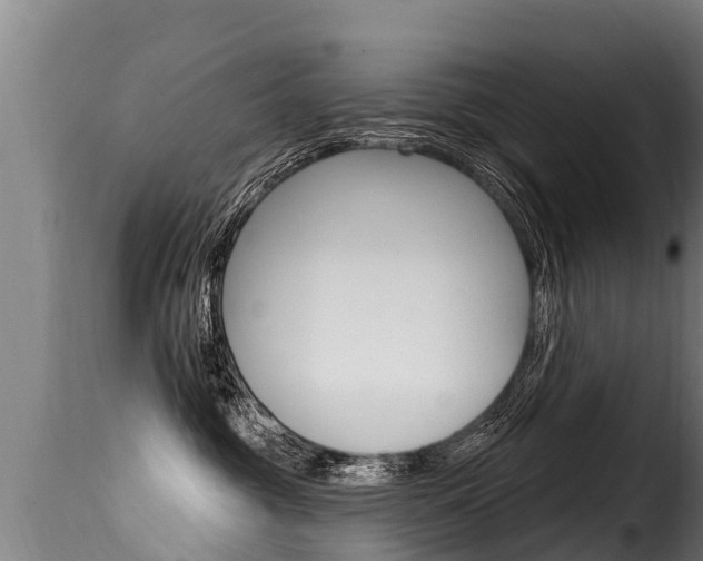 X0000116110381200911231000