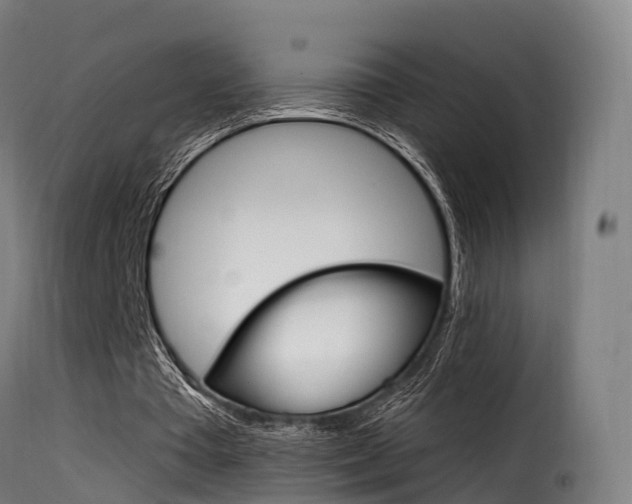 X0000116110385200911231000
