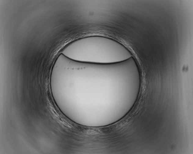 X0000116110386200911231000