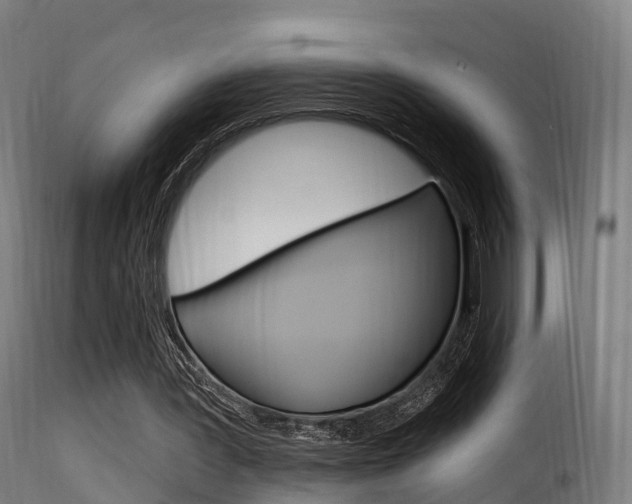 X0000116110387200911231000
