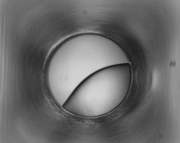 X0000116110388200911231000