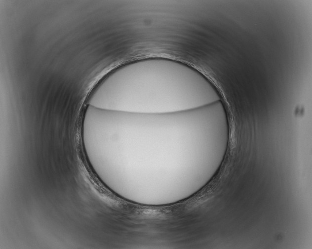 X0000116110390200911231000