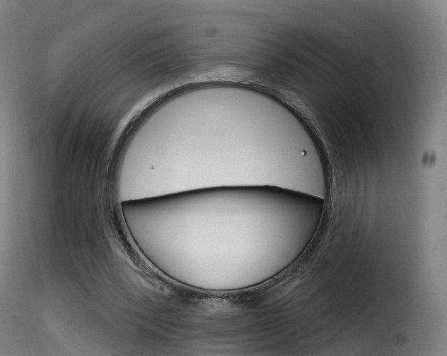 X0000116110392200911231000