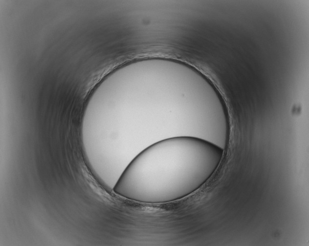 X0000116110393200911231000