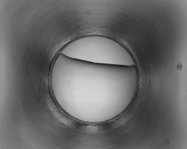 X0000116110394200911230959