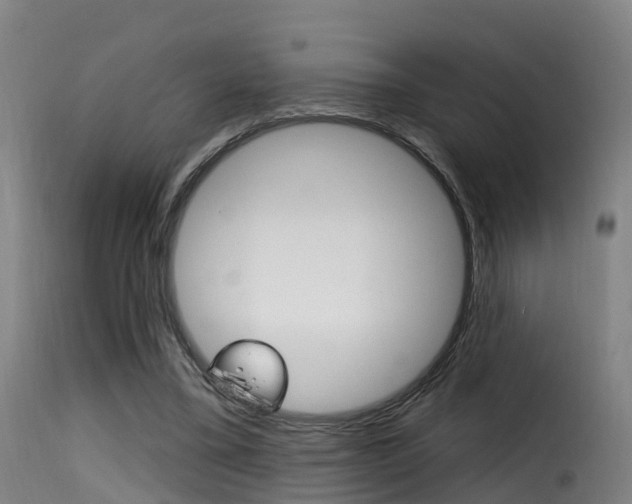 X0000116110395200911230959