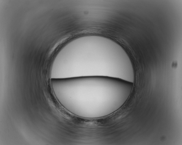 X0000116110396200911230959