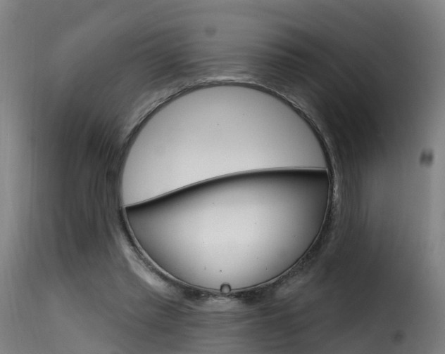 X0000116110397200911230959