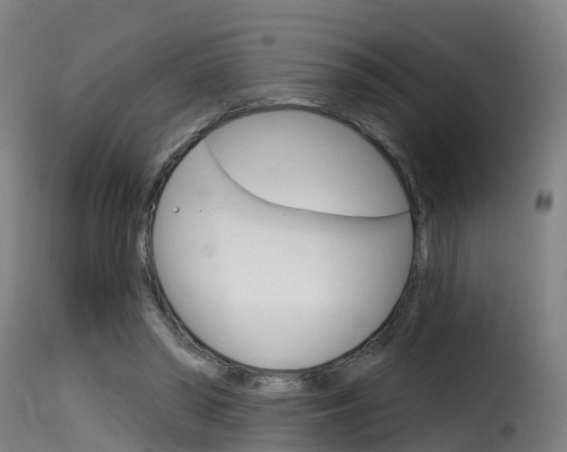 X0000116110398200911230959