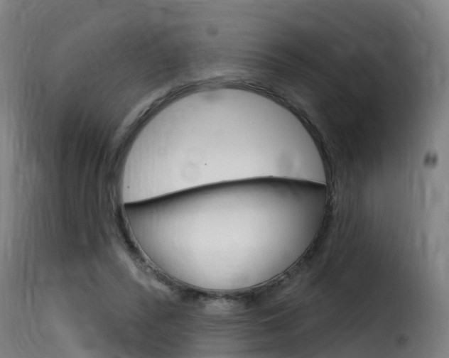 X0000116110400200911230959
