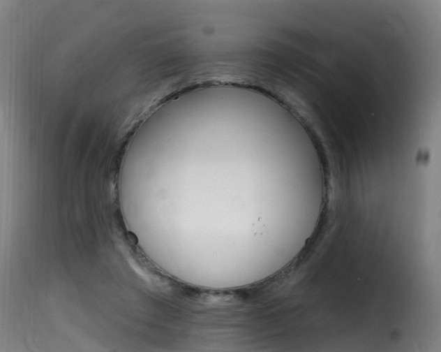 X0000116110401200911230959