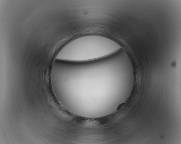X0000116110403200911230959