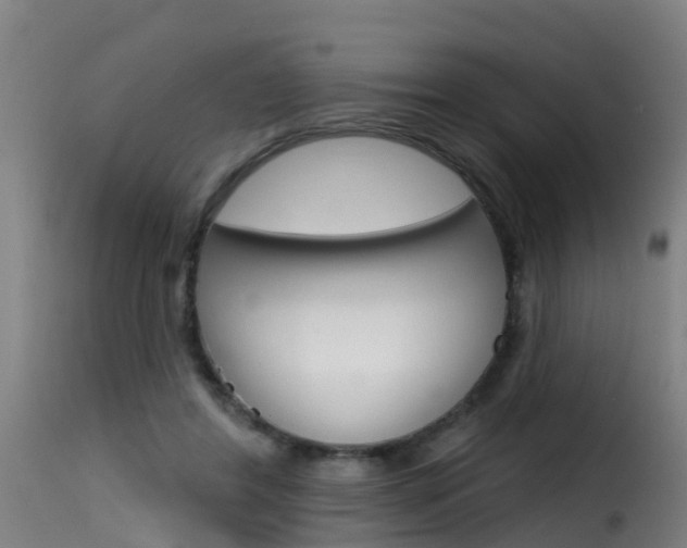 X0000116110404200911230959