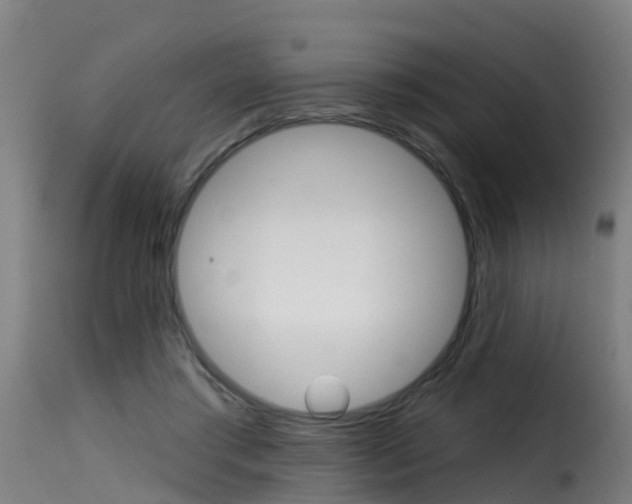X0000116110405200911230959