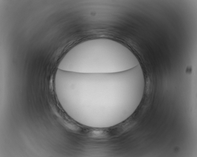 X0000116110406200911230959