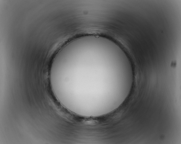X0000116110407200911230959