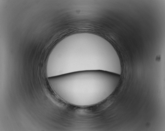 X0000116110408200911230959