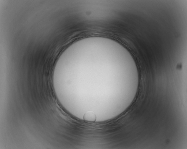 X0000116110409200911230959