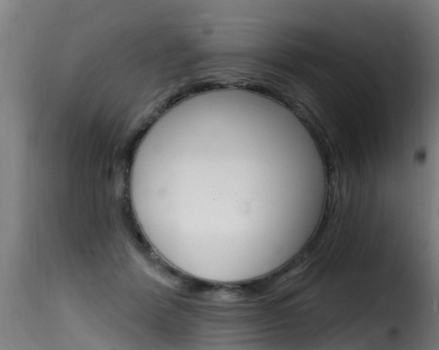X0000116110412200911230959