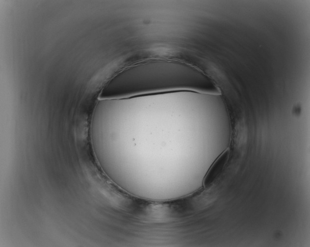 X0000116110413200911230959