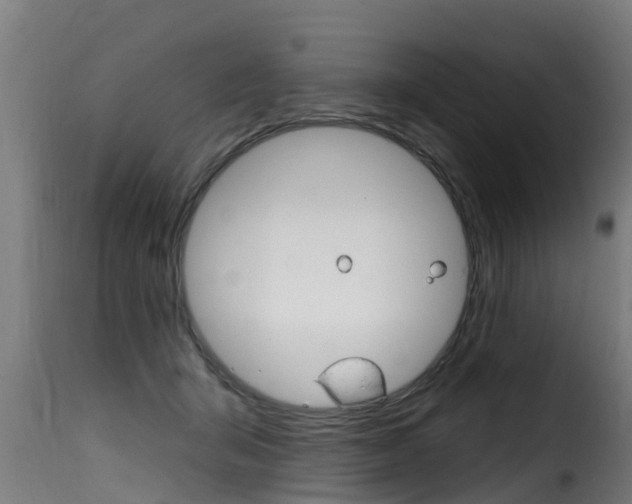 X0000116110415200911230959