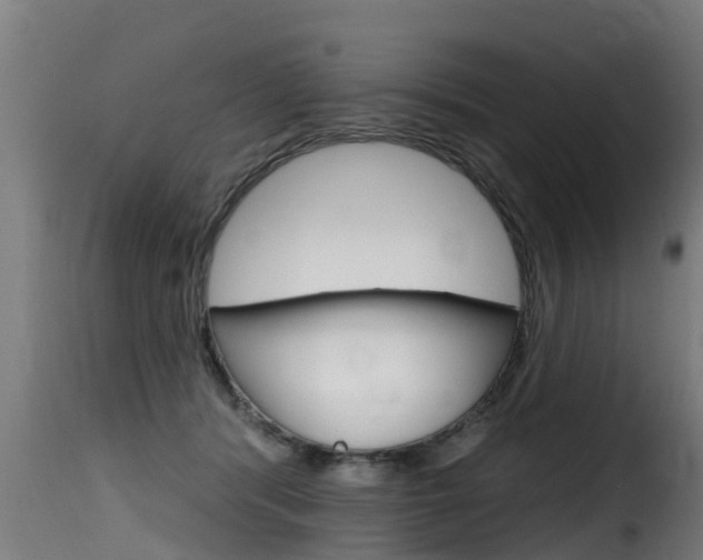 X0000116110416200911230959