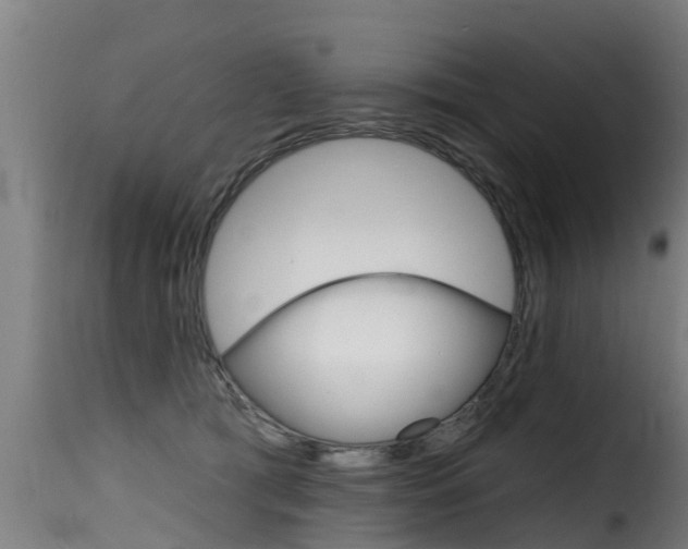 X0000116110417200911230959