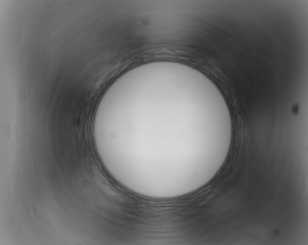 X0000116110419200911230959