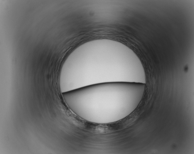 X0000116110420200911230959
