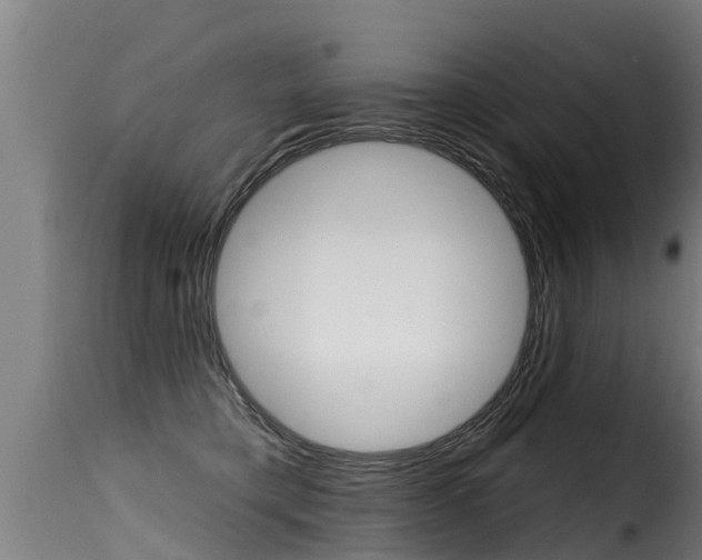 X0000116110421200911230959
