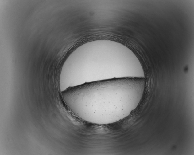 X0000116110424200911230959